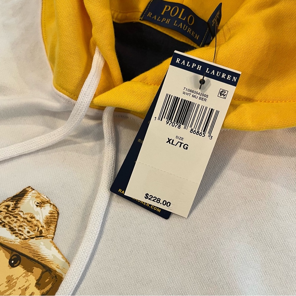 POLO RALPH LAUREN Color Block Polo Bear Hoodie - Picture 5 of 6